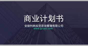 专业深耕与价值创新 安徽利皖投资咨询管理服务解析